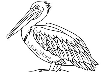 coloring page line art the pelican black vector