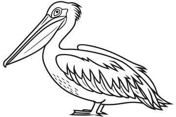 coloring page line art the pelican black vector