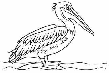 coloring page line art the pelican black vector