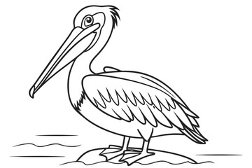 coloring page line art the pelican black vector