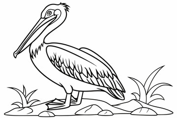 coloring page line art the pelican black vector