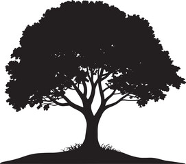  Majestic Large Tree Silhouette with Spreading Branches, Symbolizing Nature, Growth, and Environmental Beauty.