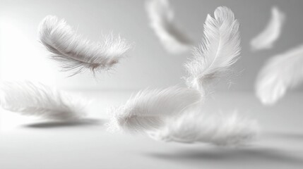 Obraz premium Soft white feathers float gently in the air, creating a serene and tranquil atmosphere against a light background