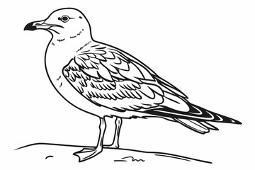 coloring page line art the seagull black vector