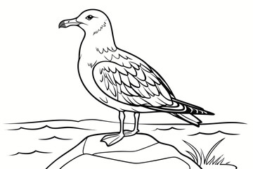 coloring page line art the seagull black vector