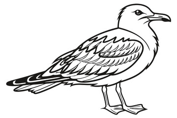 coloring page line art the seagull black vector