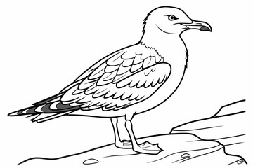 coloring page line art the seagull black vector