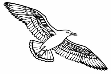 coloring page line art the seagull black vector