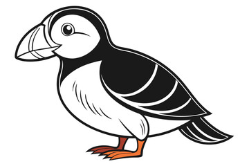 coloring page line art the puffin black vector