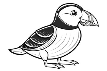 coloring page line art the puffin black vector