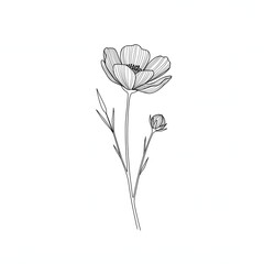 Minimalist Line Art Flower Illustration: Elegant Botanical Design