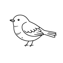 Cute Bird Cartoon Illustration: Simple Line Art Design