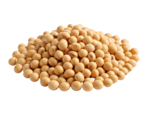  Minimal Soybean Pile with Shadow and Text Space for Advertising, Centered Composition, White Background