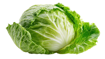 Obraz premium Fresh green cabbage with crisp leaves, ideal for salads and cooking, displayed on a white isolated background.