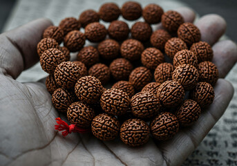 Extreme Close Up Macro Shot of Textured Rudraksha Beads Held in Hand for Spiritual Meditation