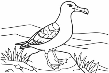 coloring page line art the albatross black vector