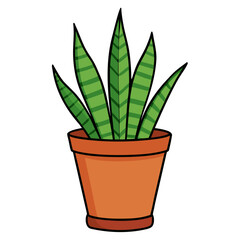 Flat vector illustration of a snake plant in a terracotta pot isolated on white background