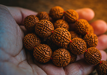 Extreme Close Up Macro Shot of Textured Rudraksha Beads Held in Hand for Spiritual Meditation