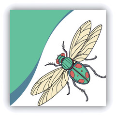 Beautiful monarch butterfly isolated on white background. Set of Big Monarch butterflies, isolated on white background. Tawny Coster (Acraea violae) Acraea terpsicore.