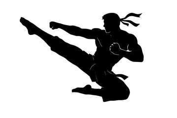 Dynamic Silhouette of a Martial Artist in Action