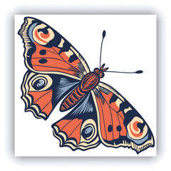 Beautiful monarch butterfly isolated on white background. Set of Big Monarch butterflies, isolated on white background. Tawny Coster (Acraea violae) Acraea terpsicore.