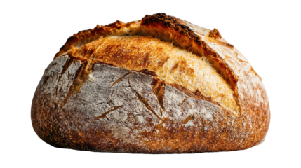 Freshly baked artisan bread on a white isolated background.