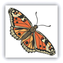 Beautiful monarch butterfly isolated on white background. Set of Big Monarch butterflies, isolated on white background. Tawny Coster (Acraea violae) Acraea terpsicore.