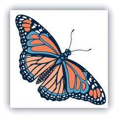 Beautiful monarch butterfly isolated on white background. Set of Big Monarch butterflies, isolated on white background. Tawny Coster (Acraea violae) Acraea terpsicore.