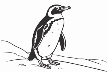 coloring page line art the penguin black vector