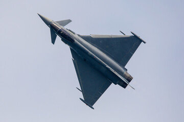Avión de combate con ala delta y planos canard