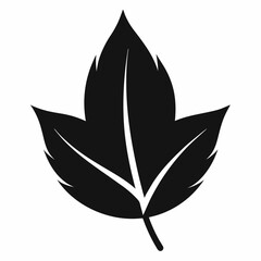 Simple Black Silhouette of a Leaf Botanical Illustration, Nature Icon, Vector Graphic