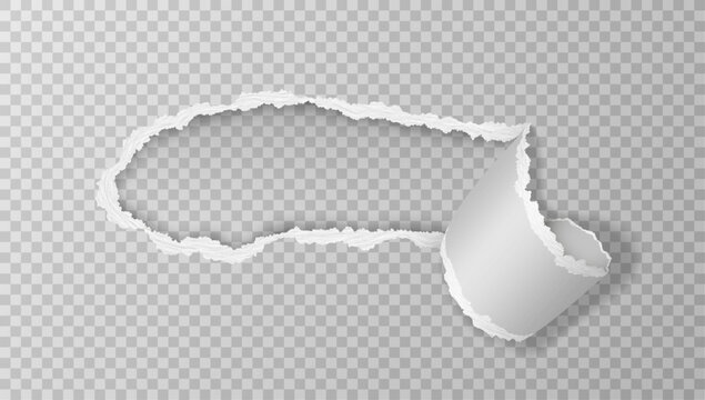 Realistic torn and twisted paper strip isolated on light background. Vector illustration.