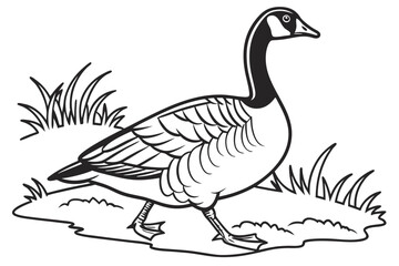 coloring page line art the goose black vector