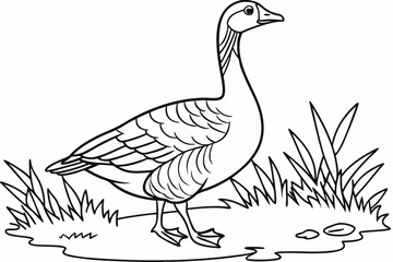 coloring page line art the goose black vector