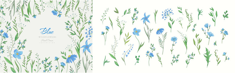 Floral set with colorful wild flowers and elegant branch. Botanical foliage for wedding invitation or wall art. Vector illustration