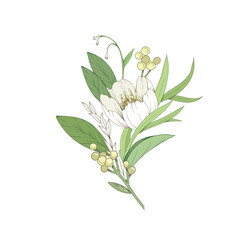Botanic set of detailed various flowers and brunch. Luxury vintage floral collection for wedding invitation, wallpaper art or save the date card
