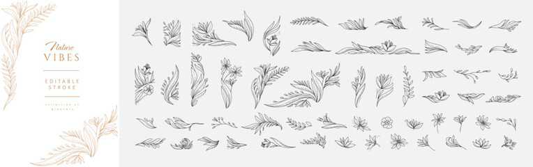Set of detailed floral and botanical decorations elements. Luxury elegant design elements for wedding invitation, wallpaper art or save the date card