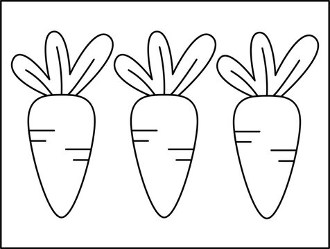 vector illustration of a carrot for coloring book