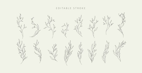 Set of detailed varios elegant branch with editable stroke. Hand drawn vector illustration, botanical elements for invitation, save the date
