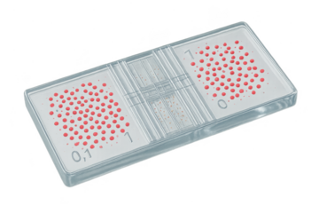 Isolated hemocytometer with cells on a transparent background for laboratory work.