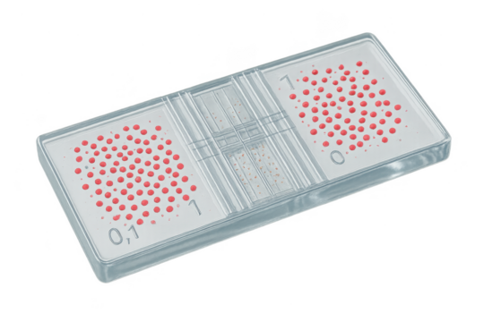 Isolated hemocytometer with cells on a transparent background for laboratory work.