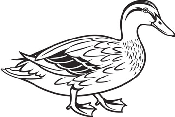 coloring page line art the duck black vector