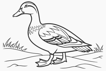coloring page line art the duck black vector