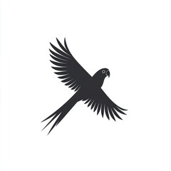 Fototapeta premium Silhouetted parrot in flight