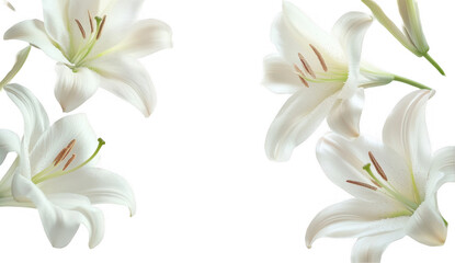 Fototapeta premium White Lilies Funeral Bouquet