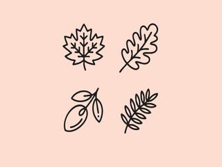Four stylized botanical illustrations on peach background leaf leaves