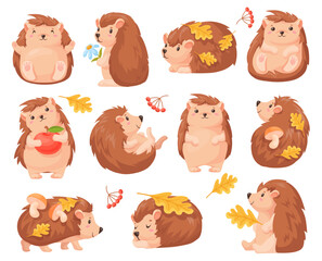 Cartoon autumn hedgehog. Cute hedgehogs fall forest animal character, baby urchin sleep funny wild animals with mushroom leaf woodland leaves, childish neat vector illustration