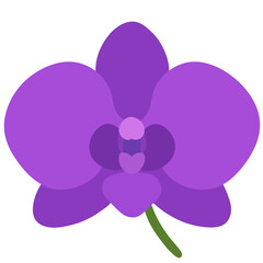 Vibrant Purple Orchid Icon: A simple, flat-design icon of a single purple orchid bloom with a green stem, ideal for floral themes, beauty, or tropical designs.