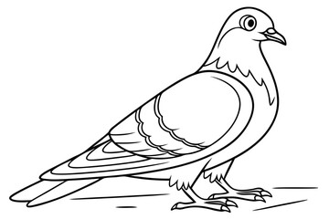 coloring page line art the pigeon black vector