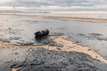 Oil spill pollutes beach with plastic waste, highlighting environmental disaster and sea pollution...